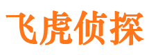 甘谷外遇出轨调查取证